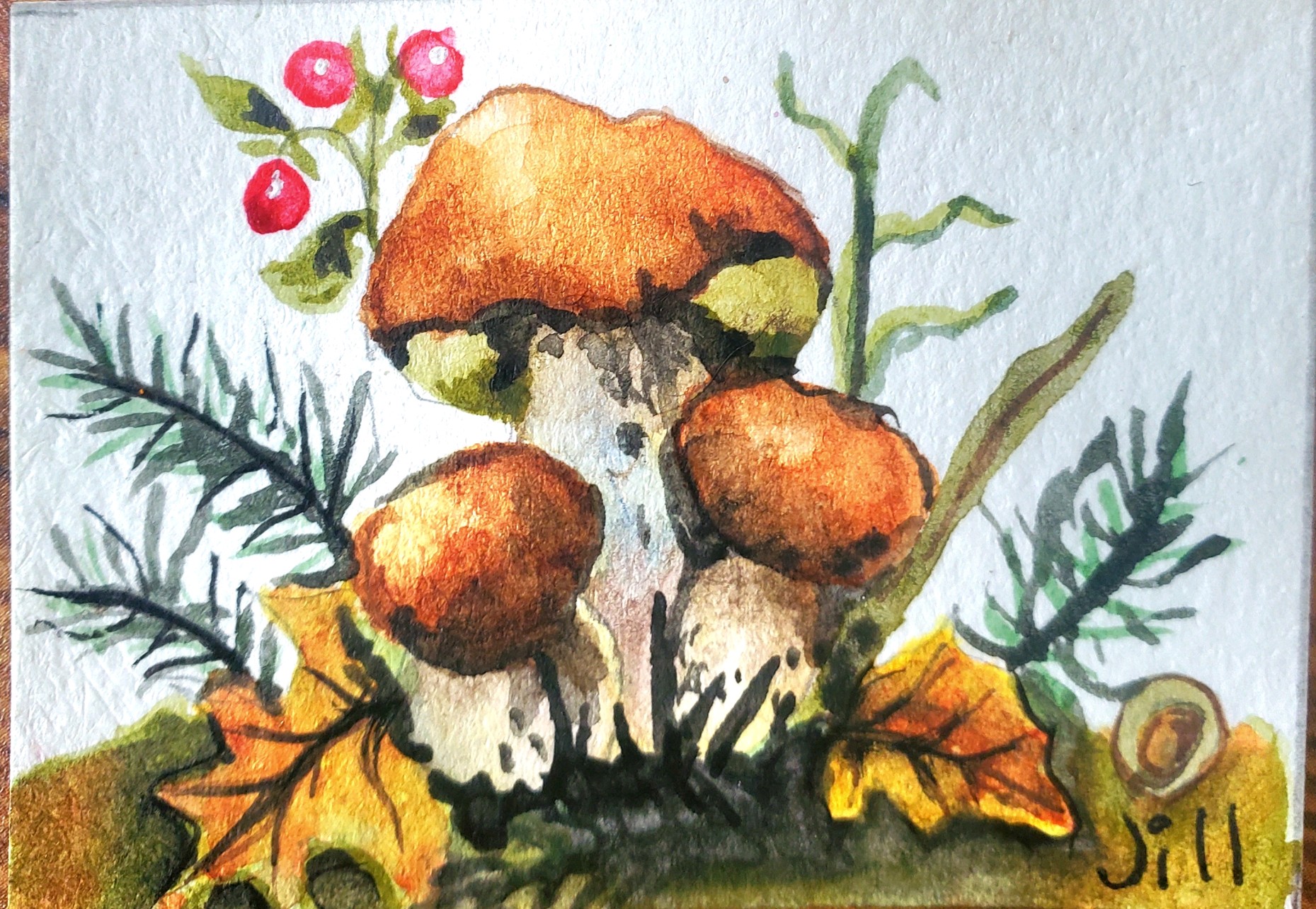 Mushrooms #1